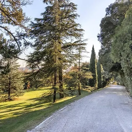 Col Di Luna-proseccohills Vittorio Veneto